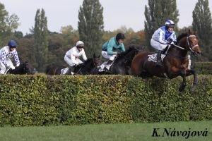 steeplechase