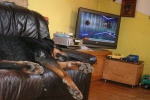 Pohoda vládne všude...