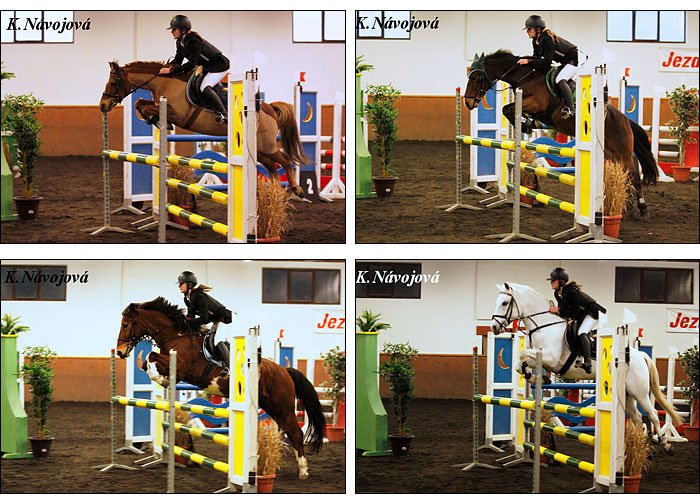 Zajímavá invence naší dvorní fotografky poskytuje čtenáři krásné srovnání: (zleva doprava, shora dolů) Karolína Olehlová s: Gay Time, Eliot 2, Bertík a Maximo Copilot.