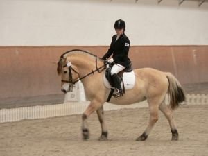 IX. Mezinárodní závody a XI. Mistrovství ČR v paradrezuře, Císařský ostrov, říjen 2009