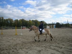 MČR v paradrezuře 2007