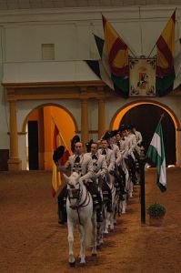 velká čtverylka, královská jezdecká škola v Jerezu