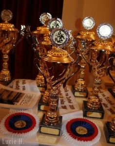 Pro ceny dorazí nejen nejlepší jezdci, ale také nejlepší koně...