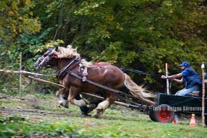 Fotoplachta "Radostná"