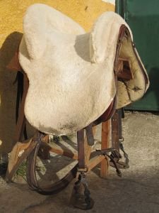 sedlo na alta escuela