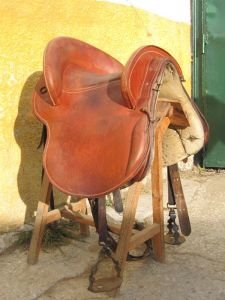 sedlo na alta escuela