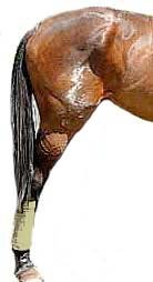 špatné osvalení stehna