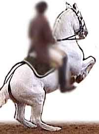 statická práce při levádě