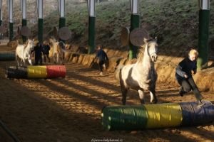 lukostřelecká škola