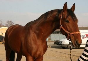 Red Valmont 8.3.2010