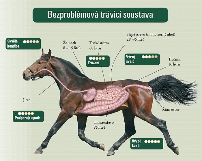 Red Mills podpora zdraví a kondice koní Red Mills podpora zdraví a kondice koní