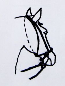 Bezudidlová uzdečka