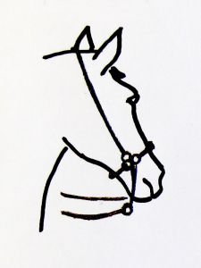 Mechanické hakamore