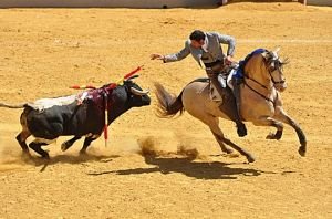 býčí zápas na koni
