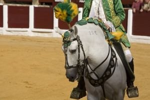 portugalský rejoneador