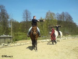 výcvik na koních