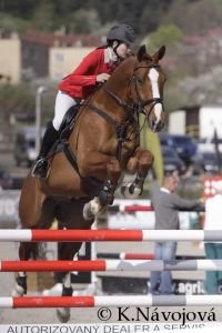 Tereza Veselá, Graf Livio