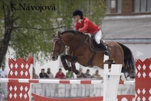 Zuzana Zelinková, Quito