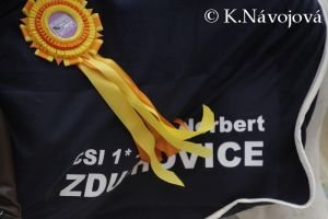 CSI 1* Saint Norber Zduchovice2010