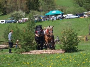 Ján Francisty - Kamienska podkova