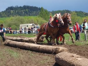 Ján Suško - Kamienska podkova