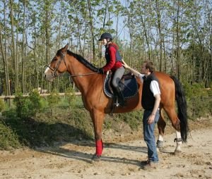 Začátečník v kurzu