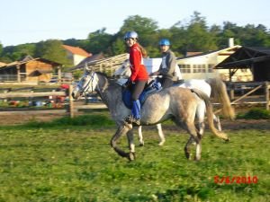 endurance Třebušín