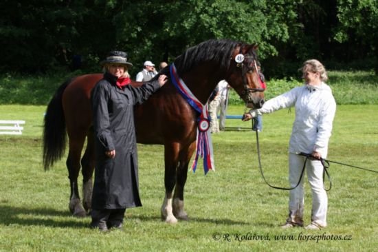 Šampion výstavy 2009