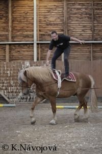 pilný trénink doprovodného programu