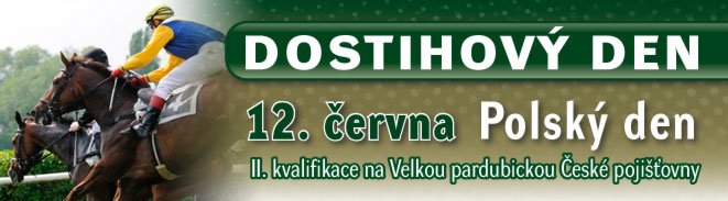 Polský den Polský den