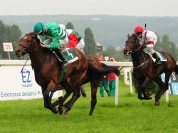 Omnibus s žokejem Jaromírem Šafáře