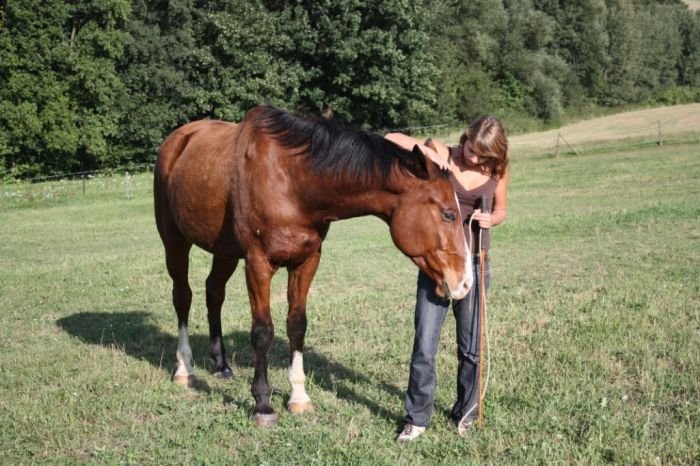 Práce ze země mezi námi vytvořila vztah plný důvěry Práce ze země mezi námi vytvořila vztah plný důvěry