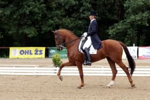 Van Essen Aat - PREMIER