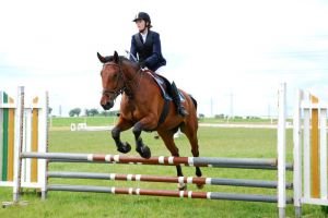 Hana Drhová - Grant