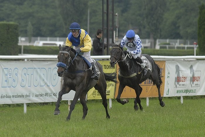 Zlatý pohár 2009 Zlatý pohár 2009