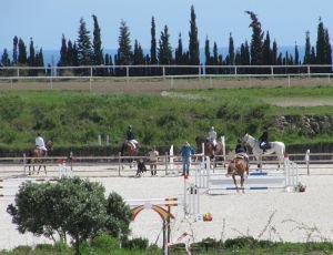 parkurové závody ve Španělsku