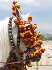 tradiční španělské spřežení - detail