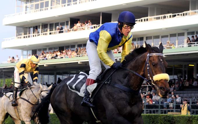 Žokej Jiří Kousek v sedle Royal Mouginse při vítězném Zlatém poháru Chládek a Tintěra Pardubice 2010. Žokej Jiří Kousek v sedle Royal Mouginse při vítězném Zlatém poháru Chládek a Tintěra Pardubice 2010.