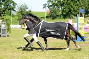 Honza Zwinger - Tudor