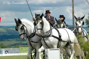 Jiří Nesvačil sen. 