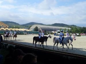 Vyhlašování výsledků