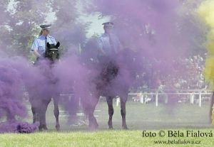 Koně v policejních složkách nesmí utíkat ani před dýmovnicemi