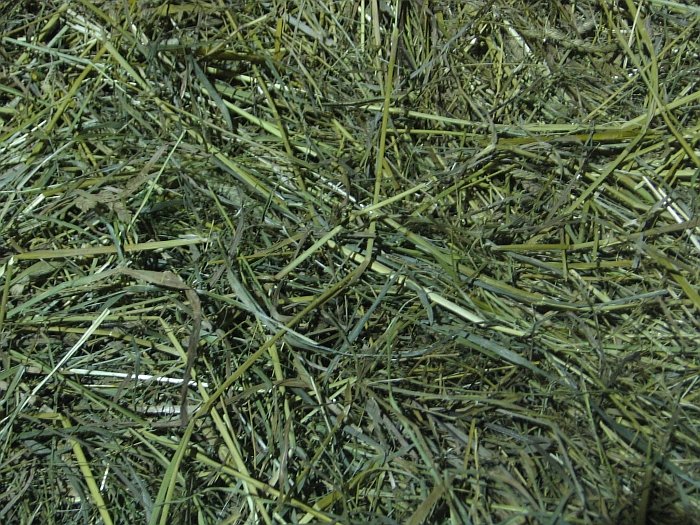 luční (travní) seno