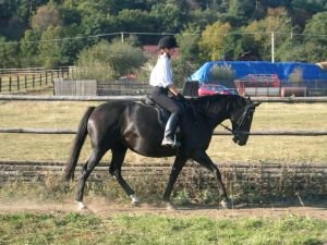 Fixovaná ruka jezdce