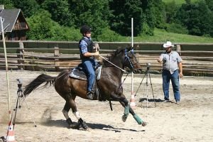 Dan Koutník - barrel race