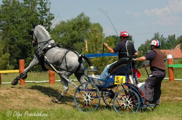 Pavel Drbohlav Pavel Drbohlav