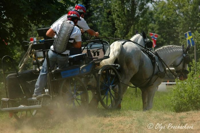 Jiří Nesvačil Jiří Nesvačil