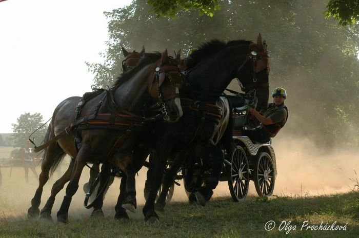 Tomas Eriksson Tomas Eriksson