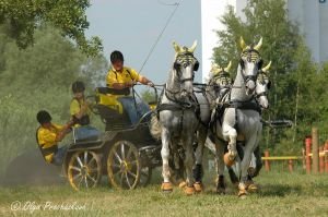 Jiří Nesvačil sen.