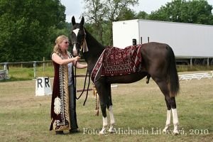 Ata Khan, vítěz ročních hřebečků